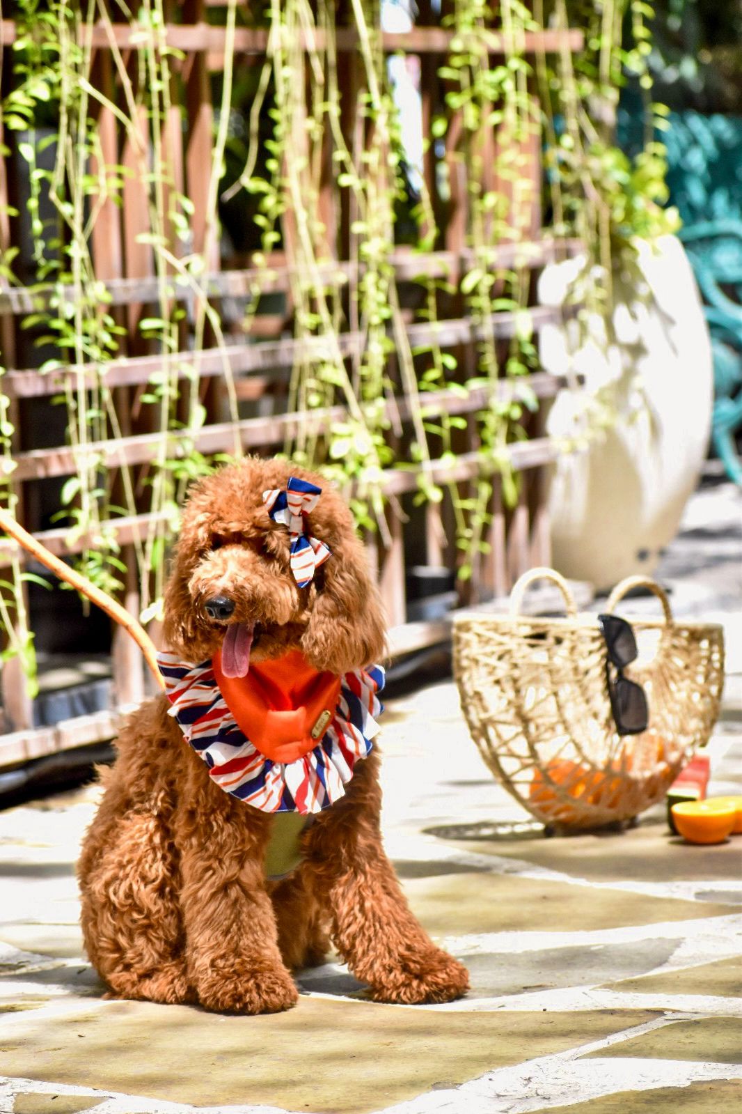 Orange you cute, babe