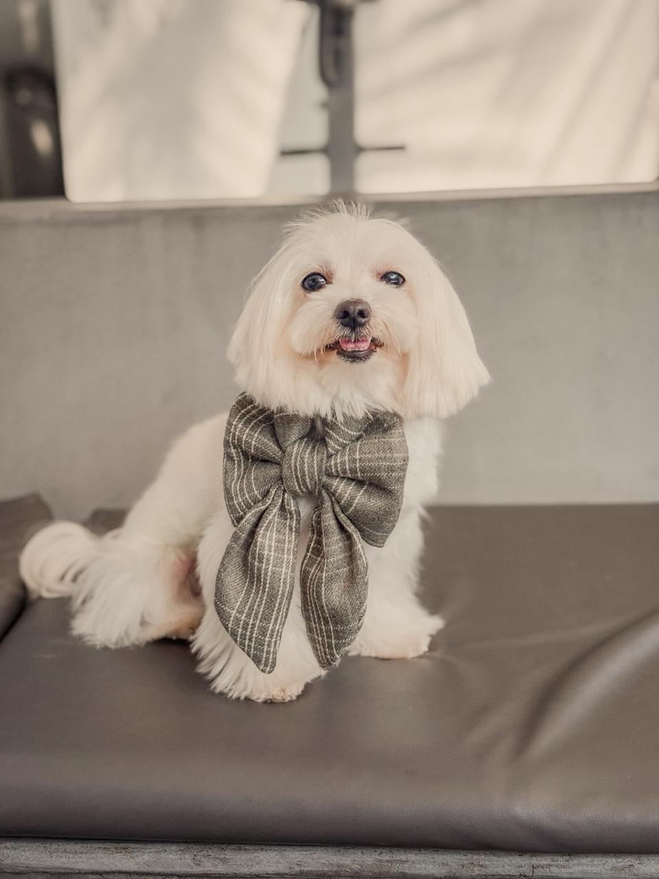 Oat Latte Sailor bow