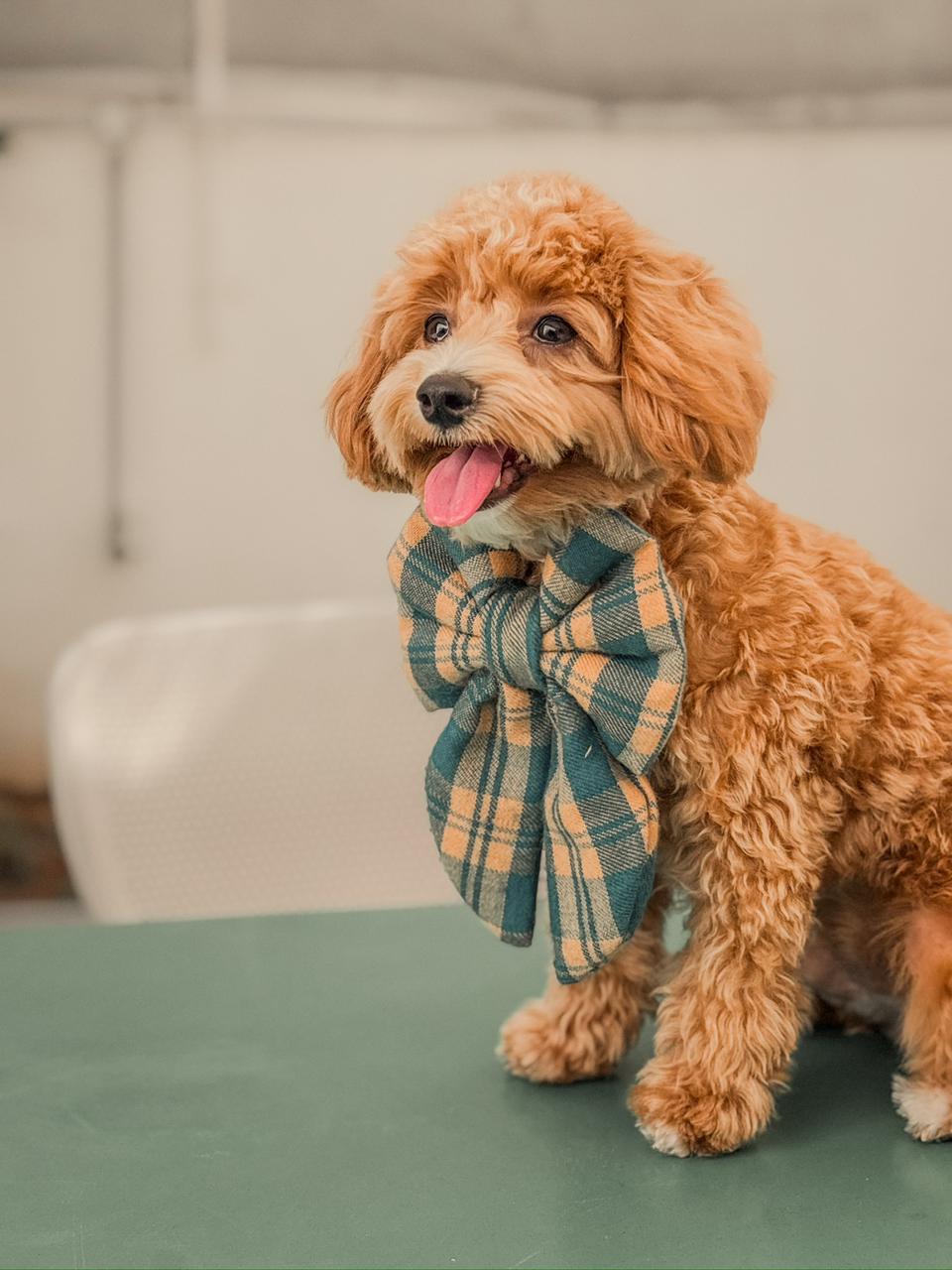 Mint Mocha Sailor bow