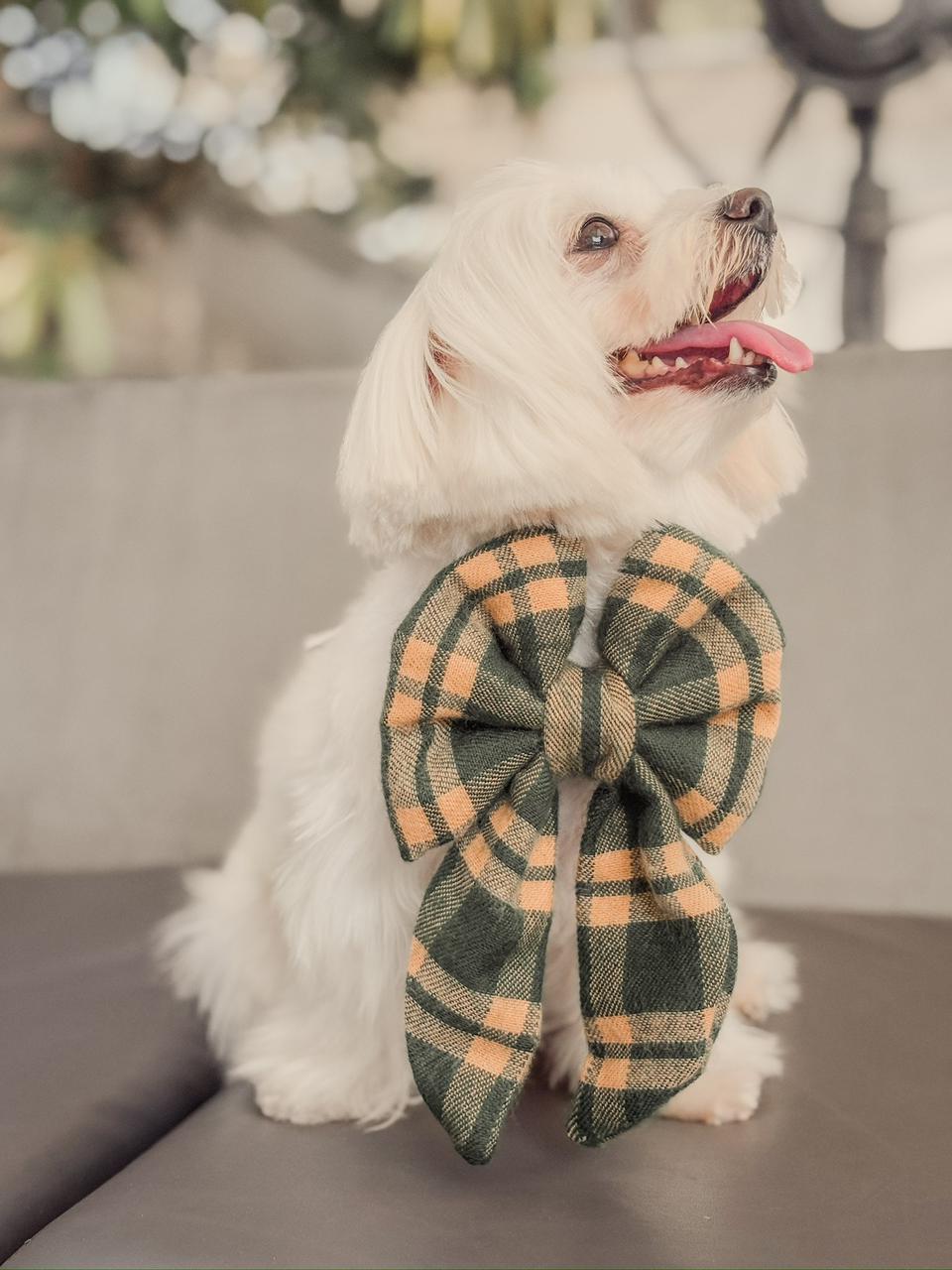 Green Pistachio Latte Sailor bow