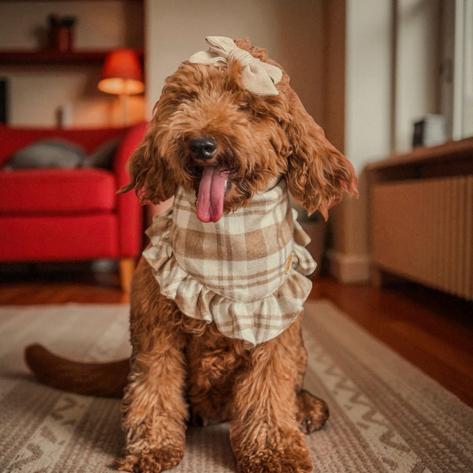 Hot Chocolate Bandana