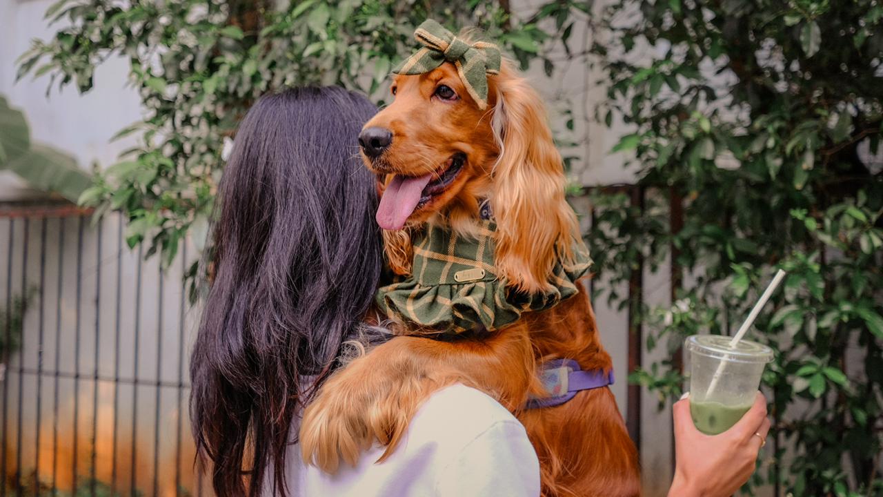 Iced Matcha Latte Bandana