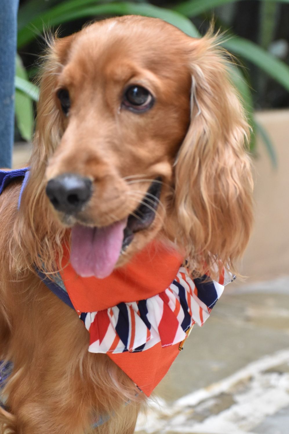 Orange You Cute, Bro